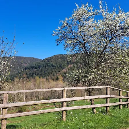 Ferme Des Cimes Bed & Breakfast