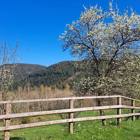 Bed & Breakfast Ferme Des Cimes